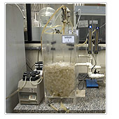 labpol02