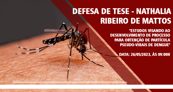 08 05 PEQ DefesaTeseNathalia noticia